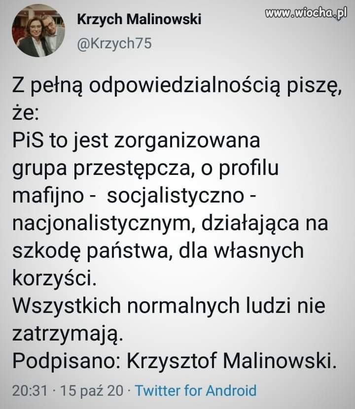 Zorganizowana 