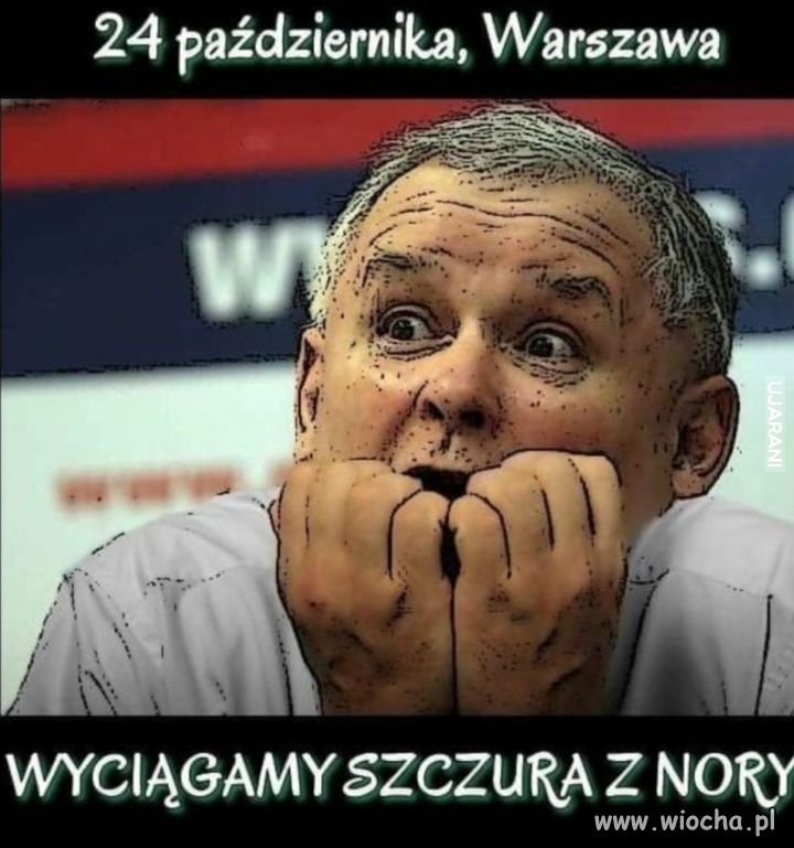 To dziś