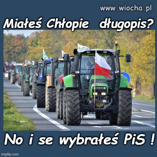 Miałeś, chamie, złoty róg, miałeś, chamie, czapkę z piór: