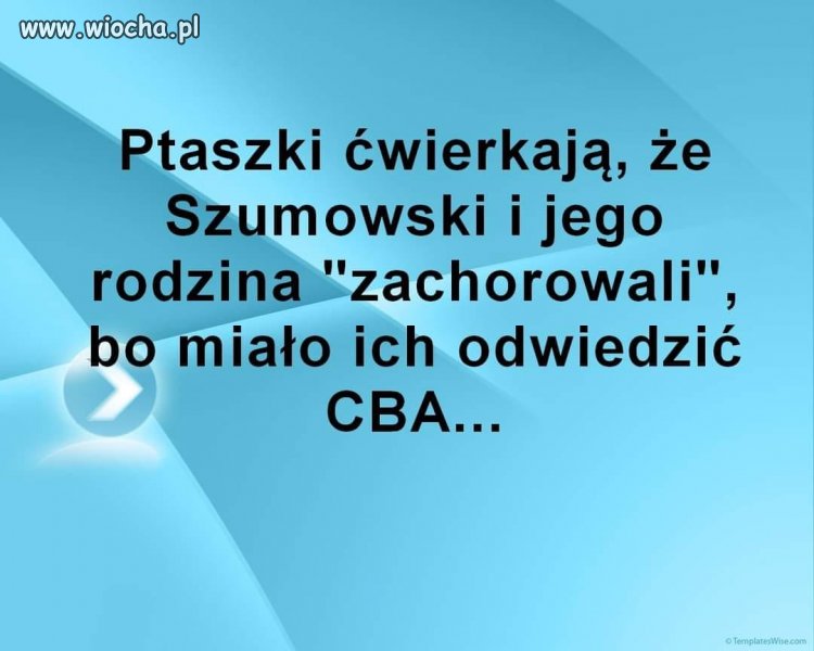 W każdej plotce 