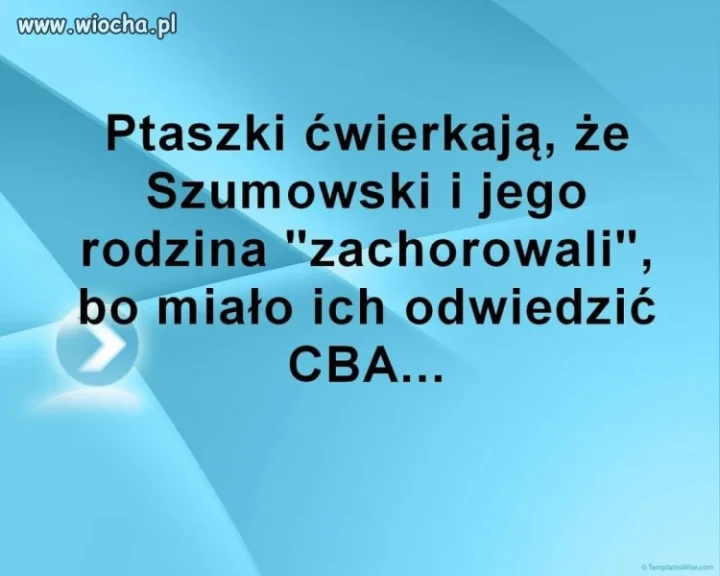 W każdej plotce 