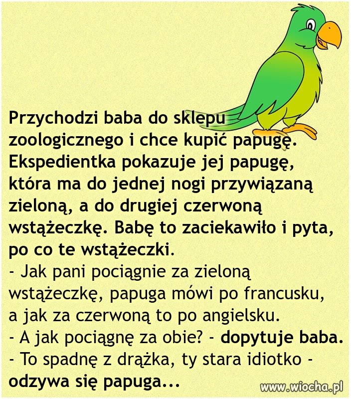 W sklepie zoologicznym 