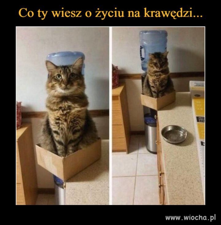Życie na krawędzi...