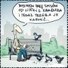 Tytuł zbędny