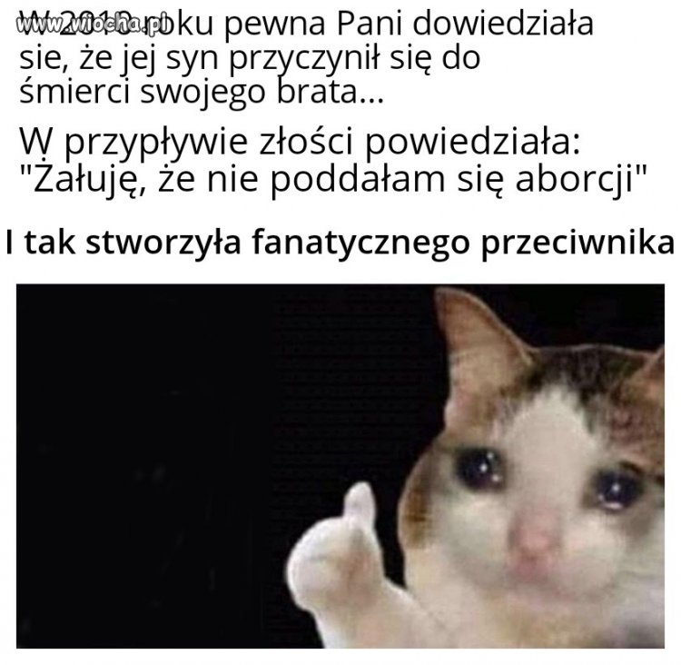 A skąd ten fanatyzm? 