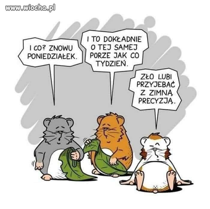Poniedziałek