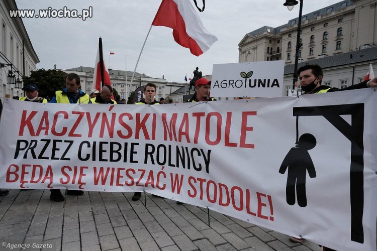 Tak wygląda szczyt naiwności