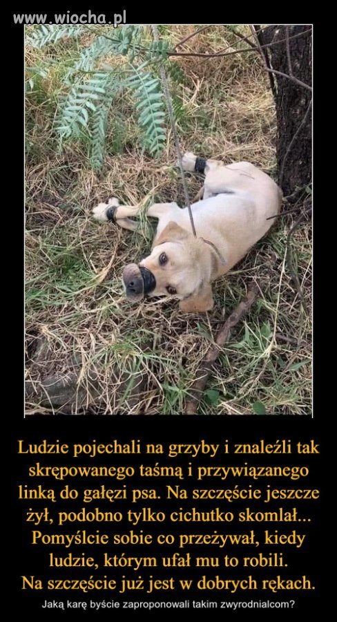 Brak mi słów na takich ludzi...