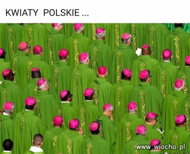 Niech prawo zawsze prawo znaczy,