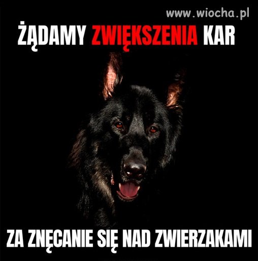 Kto popiera? 