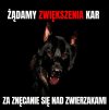 Kto popiera? 