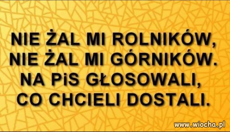 Sami sobie wybrali