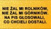 Sami sobie wybrali