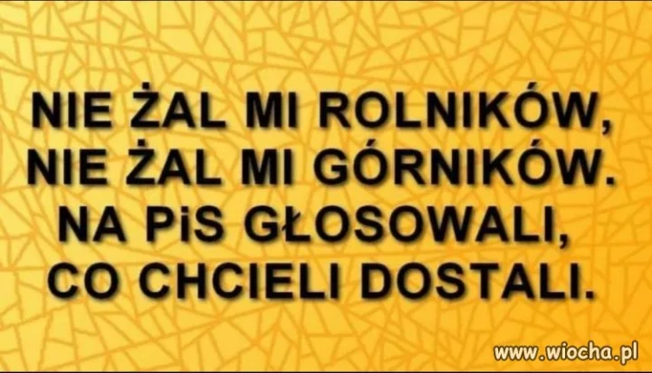 Sami sobie wybrali