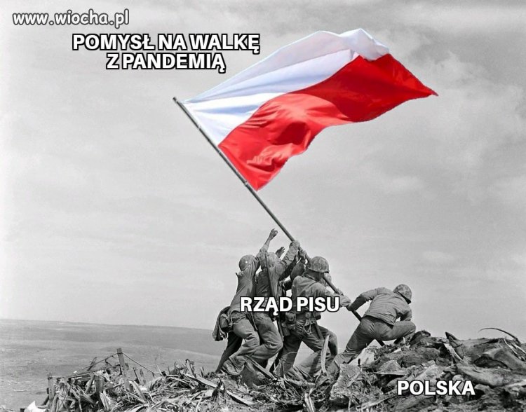  PiS na froncie