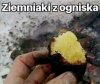 A dziś tylko hamburger, cheeseburger, chickenburge