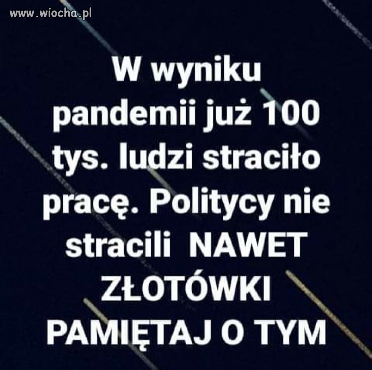 A politycy tylko 