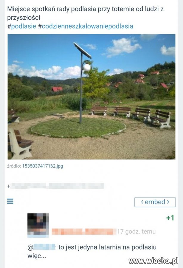 Coś w tym jest