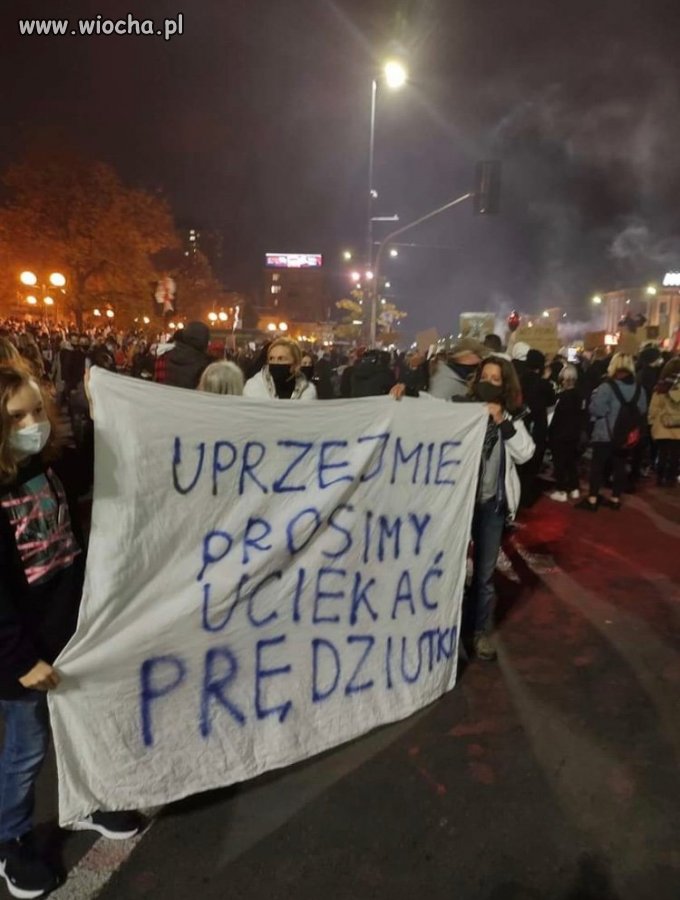 Pisiory mogą nie zrozumieć, mogę przetłumaczyć