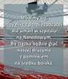 I wszystko 