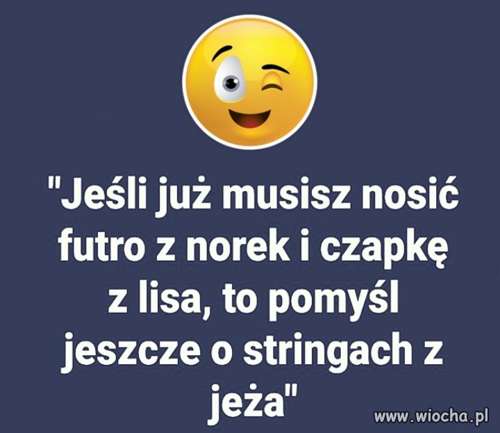 Słynna piątka dla zwierząt 
