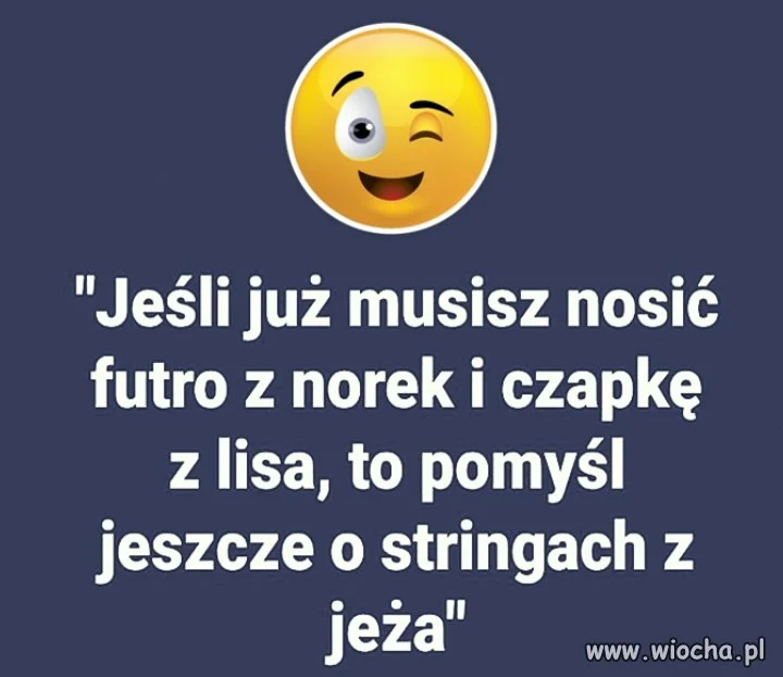 Słynna piątka dla zwierząt 