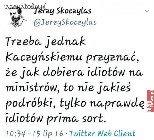 W pisie nie ma lipy