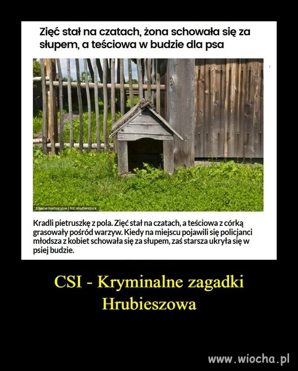 Rodzinny interes