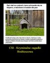 Rodzinny interes