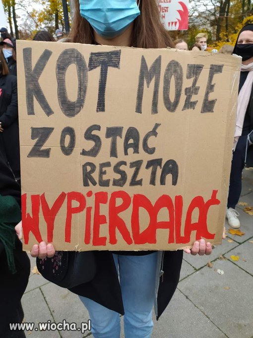 Kot zostaje