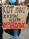 Kot zostaje