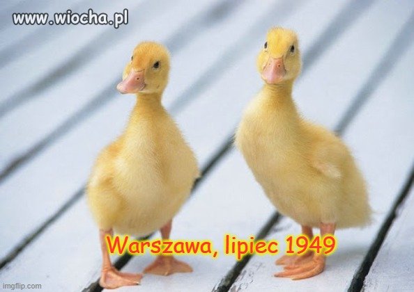 Z archiwum IPN