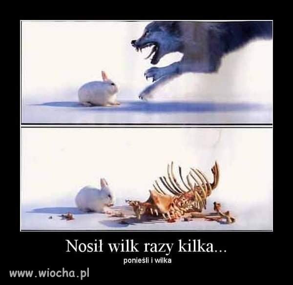 Zapamiętaj to Jarosławie.