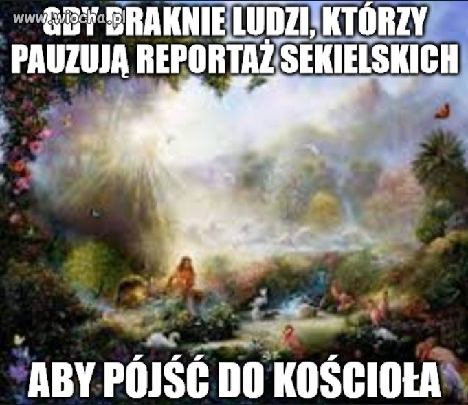 Raj go odzysku