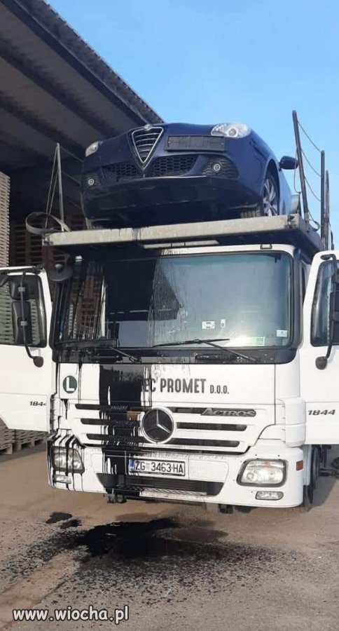Alfa trzyma renomę w każdych warunkach
