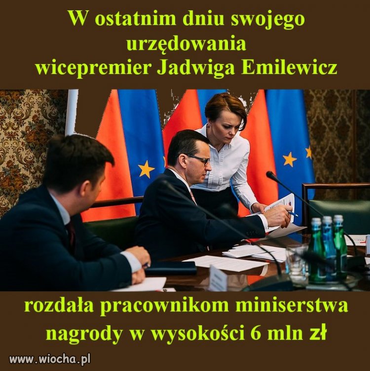 BMW: Tak się robi kariery...
