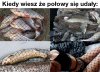 No właśnie 