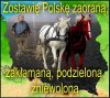 Prawdziwe intencje wicepremiera ...