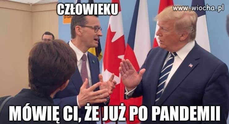 Matołuszek 
