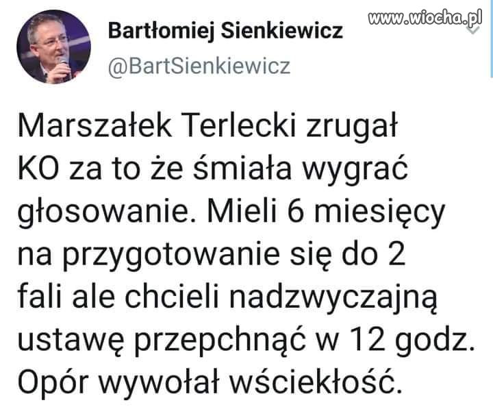 Cały terlecki 