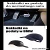 Coś w tym jest 
