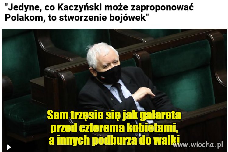 Podjudzacz