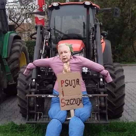 Ktoś na nich przecież głosował