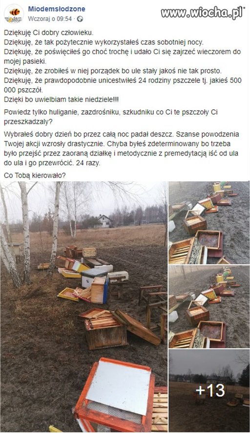Znowu jakiś złamas zniszczył pasieki 