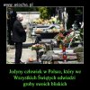 Twój ból jest lepszy niż mój 