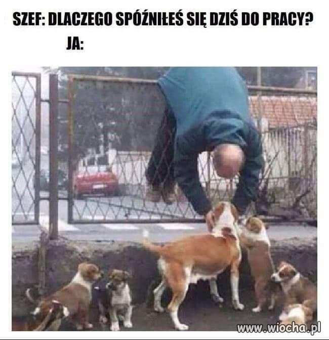 No właśnie-dlaczego?