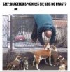 No właśnie-dlaczego?
