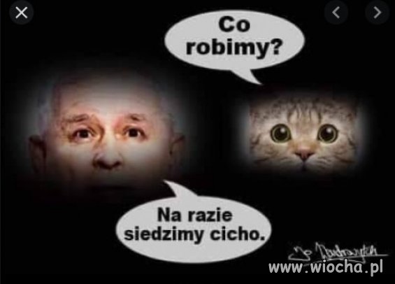 Kaczyński na kwarantannie razem z kotem.