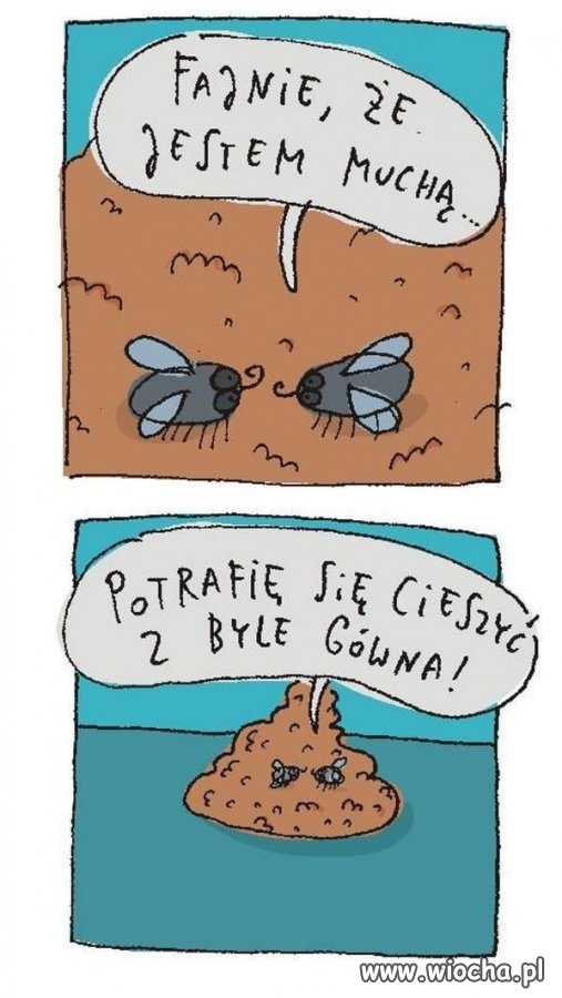 Ostatnie dni sezonu