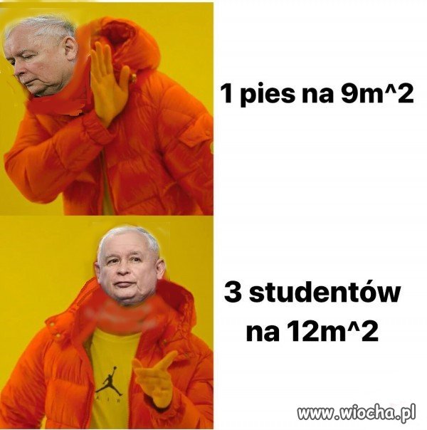 5 kaczyńskiego
